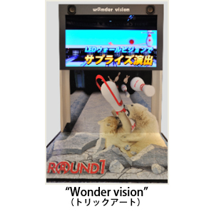 Wonder vision